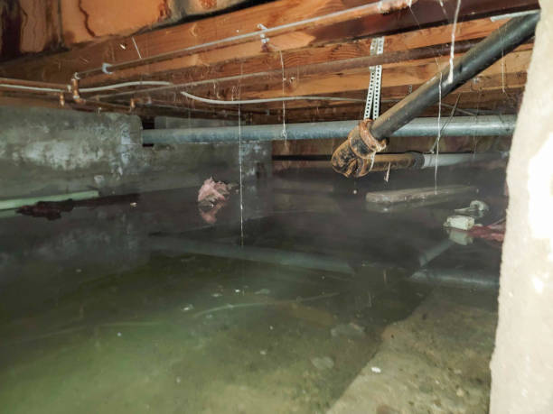 Best Water damage restoration near me  in Ingram, TX