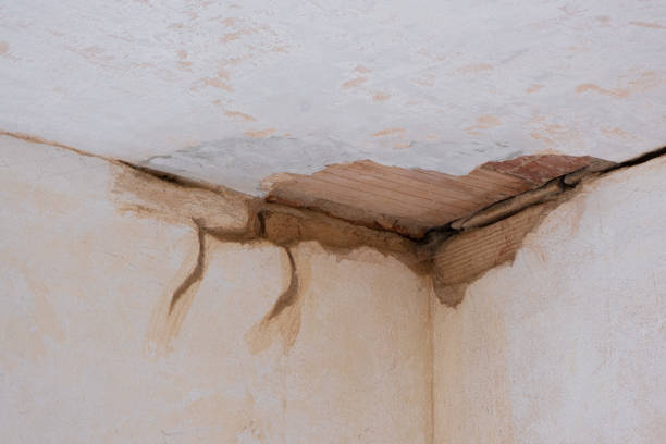 Best Emergency water damage restoration  in Ingram, TX