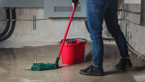 Best Ceiling water damage repair  in Ingram, TX