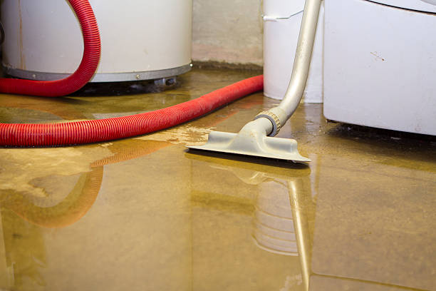 Best Basement water damage restoration  in Ingram, TX